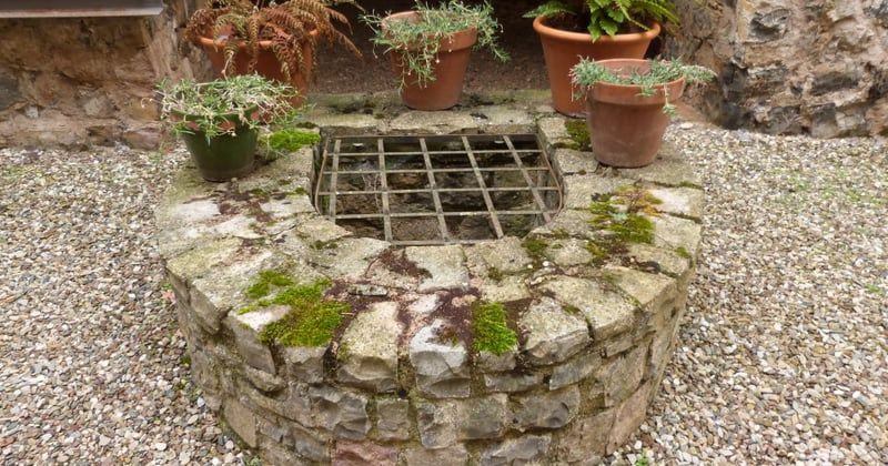 Les solutions écologiques pour assainir son eau de pluie à la maison